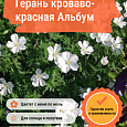 Герань кроваво-красная Альбум Герань кроваво-красная Альбум