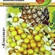 Физалис  Ананасовый